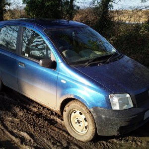2004 Active