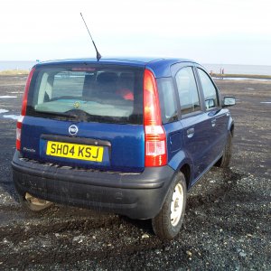 Panda on Lowestoft coast