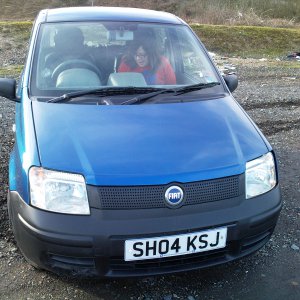 Panda on Lowestoft coast
