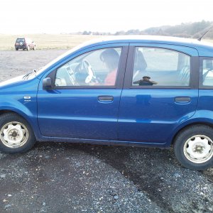 Panda on Lowestoft coast