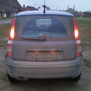 Panda on Norfolk coast (Mundsley Church)