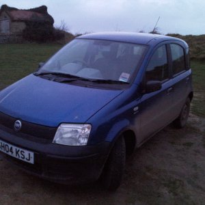 Panda on Norfolk coast (Mundsley Church)