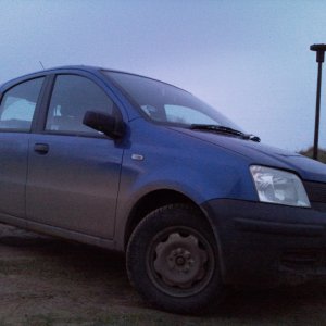 Panda on Norfolk coast (Mundsley Church)