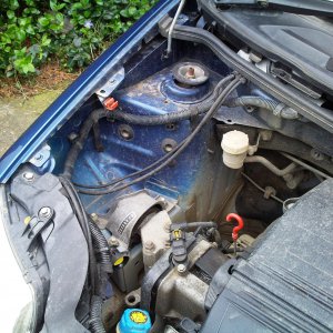 Under bonnet pics