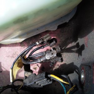 Sisley earthing Hedgehog cleanup