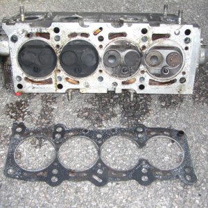 Head and Gasket
