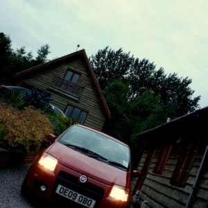 Panda at Dusk