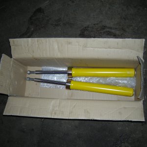 DSCN0981