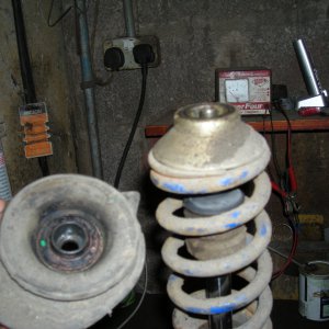 DSCN0983