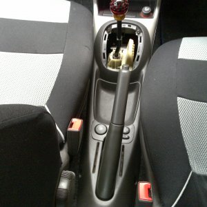 Middle Section