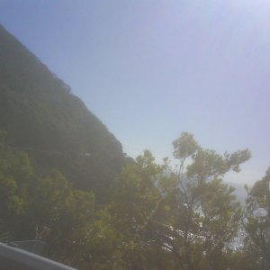 DSC006703