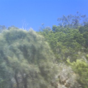 DSC006712