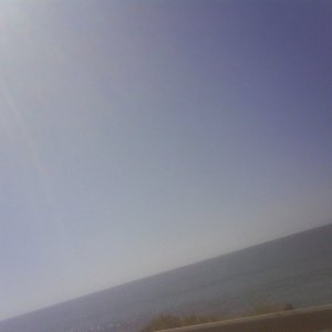 DSC006733