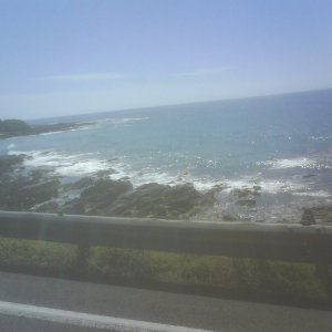 DSC006742
