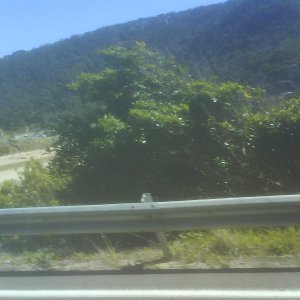 DSC006753