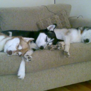 Austins_picture052