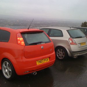 Rears at the viewpoint