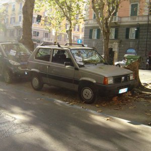 DSC06768