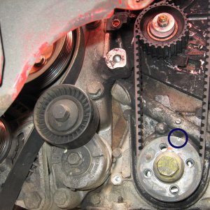 Bravo 1.4 12v Tensioner