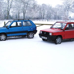 Two of my Pandas