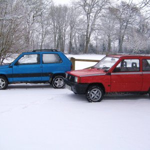 Two of my Pandas