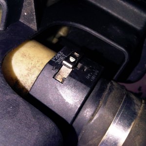 Quick release connector