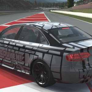 audicat1