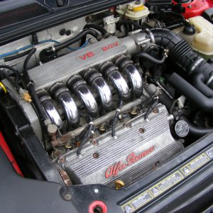 Glorious Alfa V6 Engine