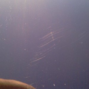 IMAG9190