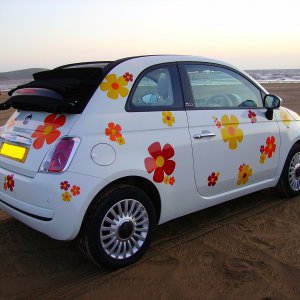 Flowery_Fiat_8