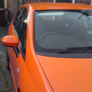 DSC004342