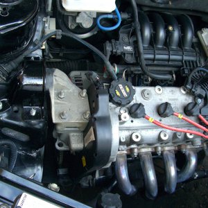 Painted engine support