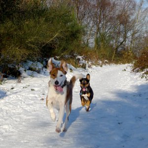 Snow