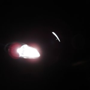 White Lights