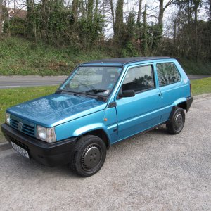 Panda115