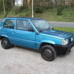 Panda311