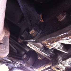 leaking gearbox