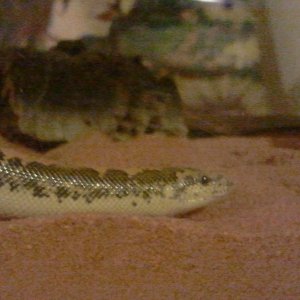 2010-12-16_18_48_46