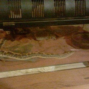 2010-12-16_18_49_17