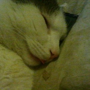 2011-02-16_21_12_04