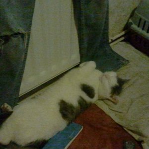 2011-02-17_21_02_45