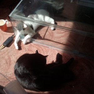 2011-05-22_10_43_55