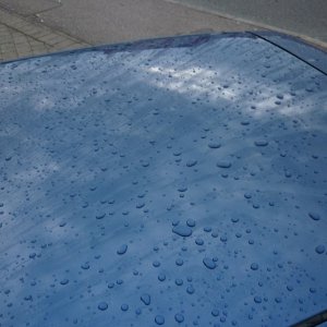 P10008671