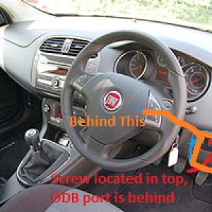 bravo_interior1