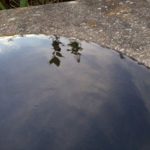 2011-10-16_17_54_52
