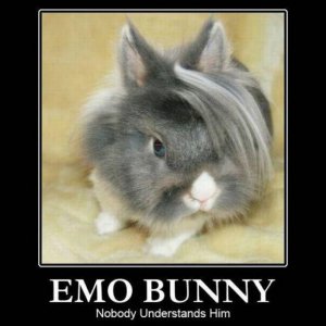 emo_bunny