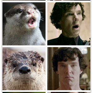 Otters that look like Benedict Cumberbatch