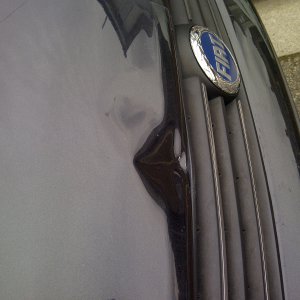 Bonnet Dent 1