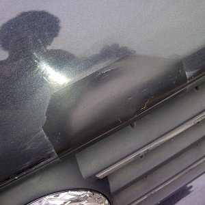 Bonnet Scratch Cover?