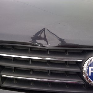 Bonnet Dent 2